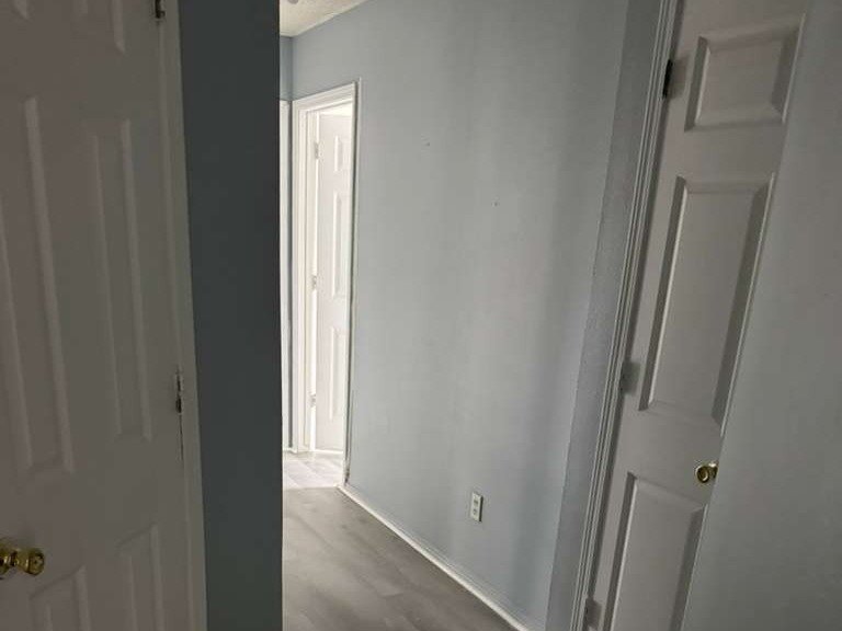 Luchos Tree Services