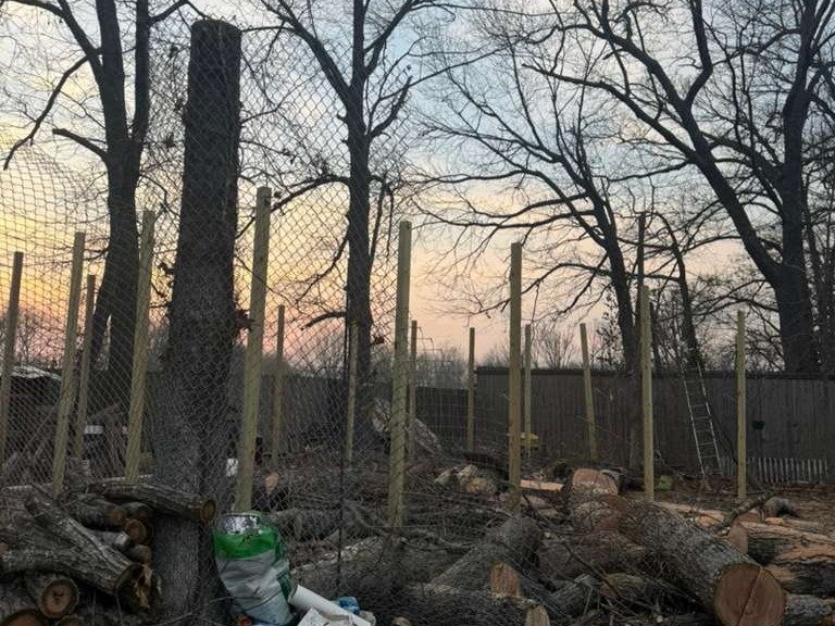 Luchos Tree Services