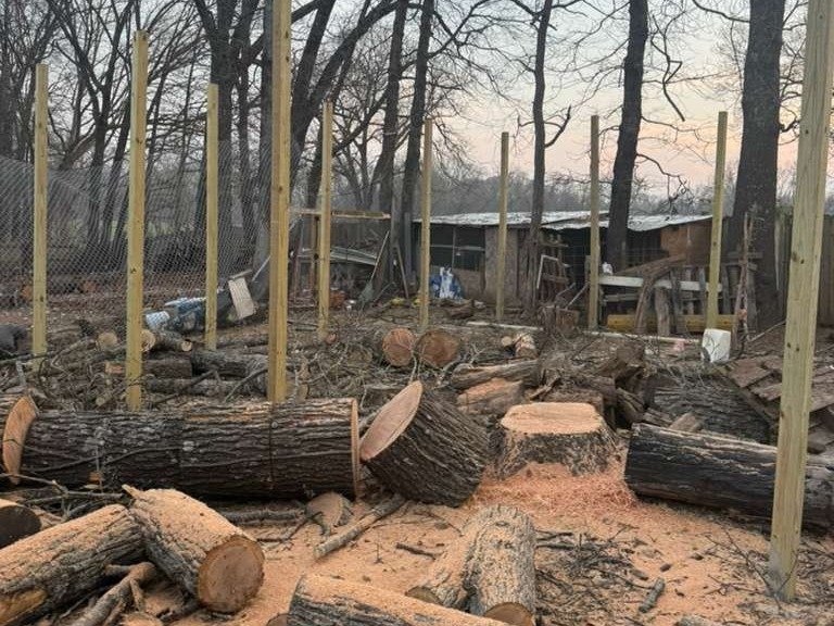 Luchos Tree Services