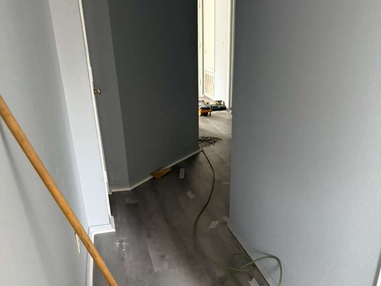 Luchos Tree Services