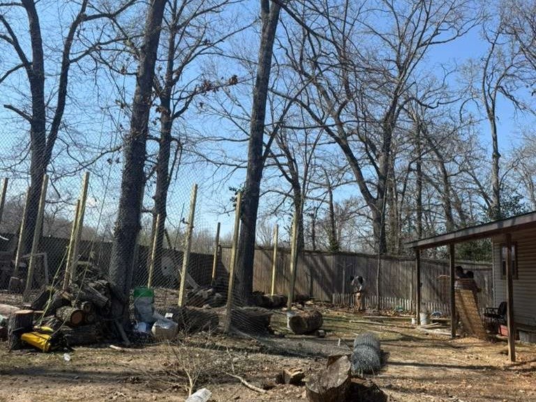 Luchos Tree Services