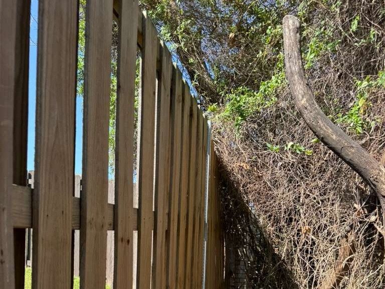 Luchos Tree Services