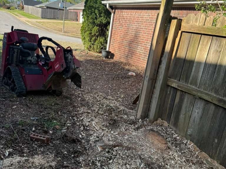 Luchos Tree Services