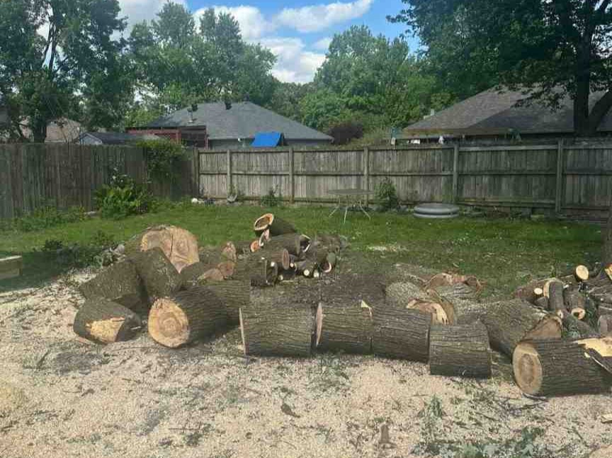 Luchos Tree Services