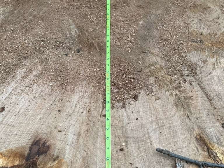 Luchos Tree Services