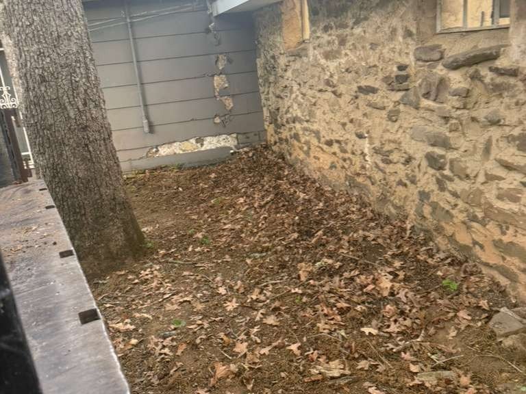 Luchos Tree Services
