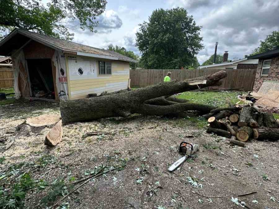 Luchos Tree Services