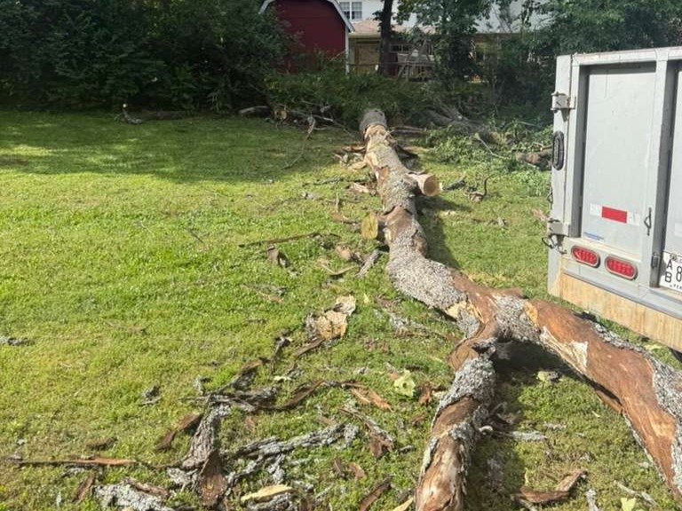 Luchos Tree Services