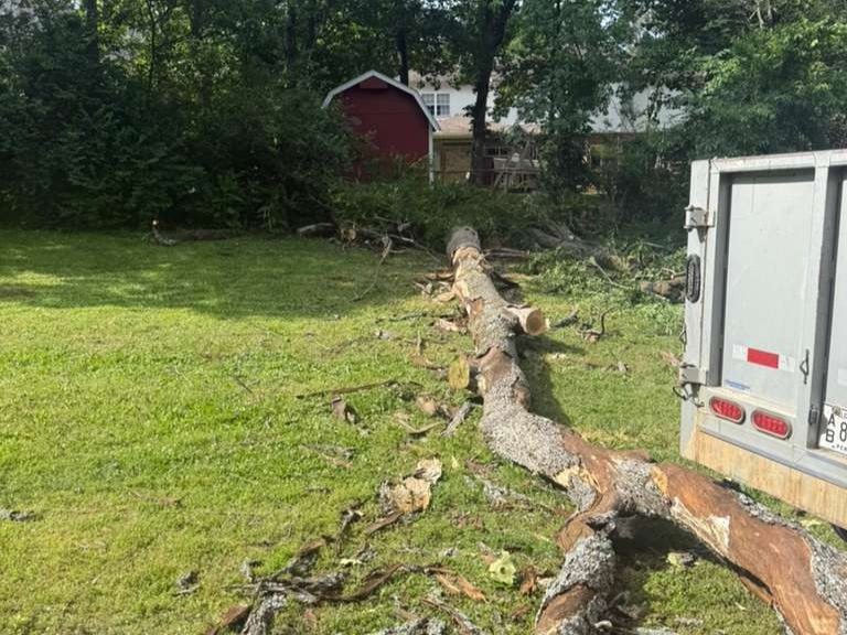 Luchos Tree Services