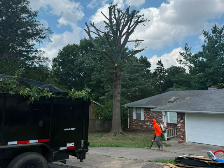 Luchos Tree Services