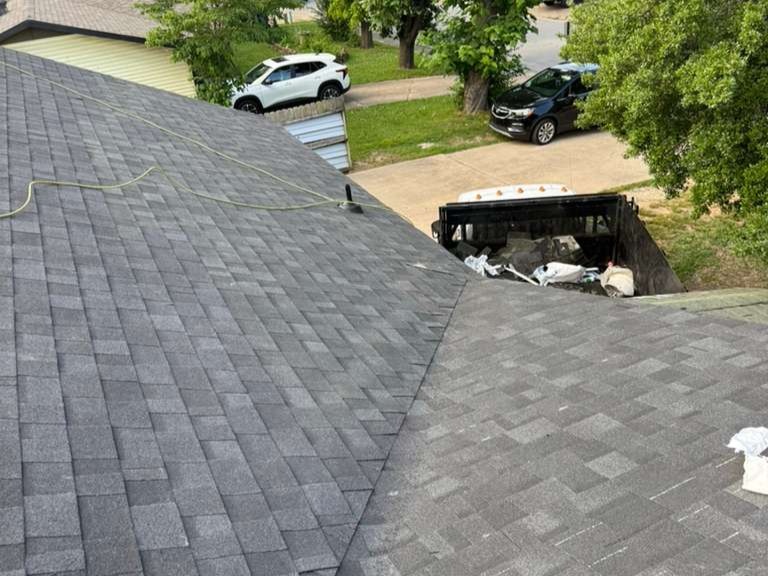 Luchos Tree Services