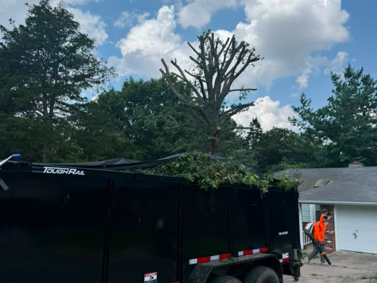 Luchos Tree Services