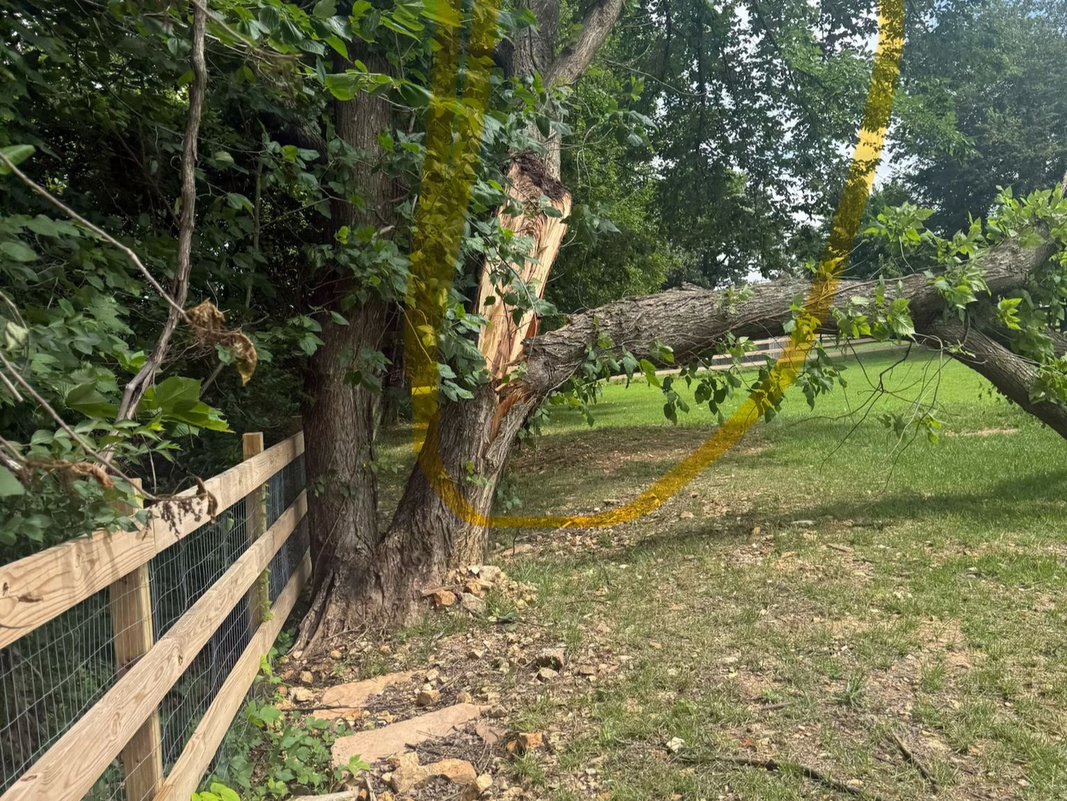 Luchos Tree Services
