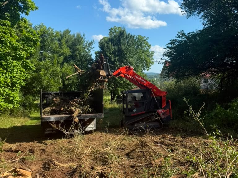 Luchos Tree Services