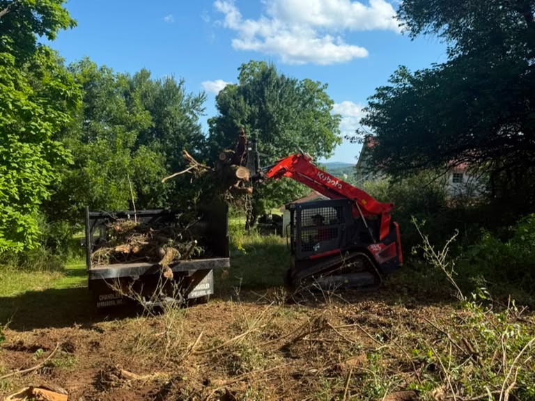 Luchos Tree Services