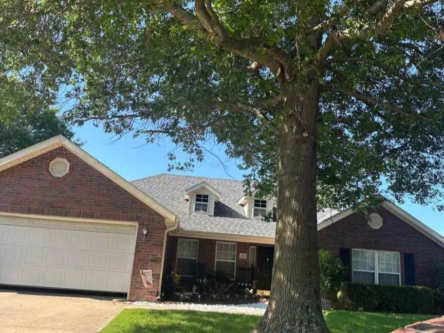 Luchos Tree Services