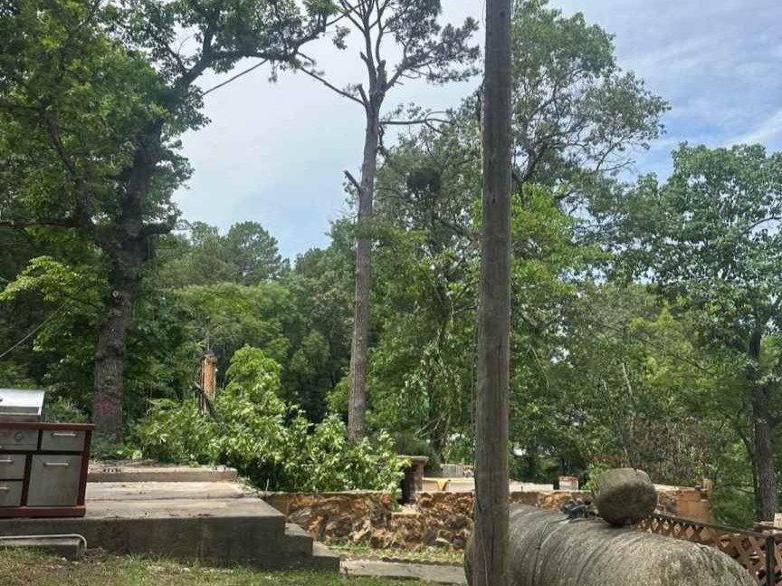 Luchos Tree Services